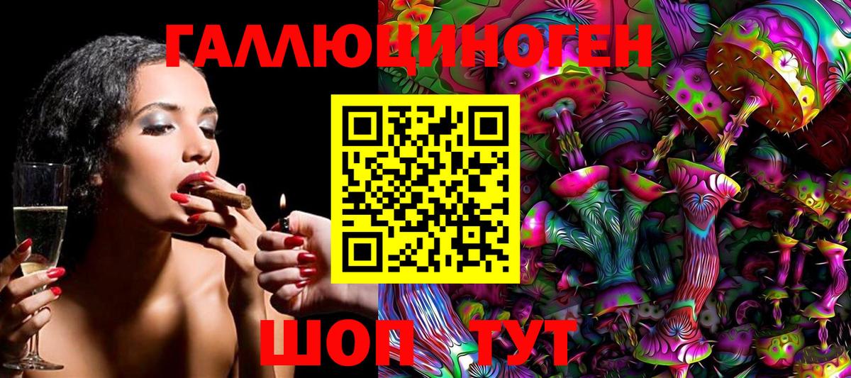 Псилоцибиновые грибы Psilocybine cubensis Кандалакша