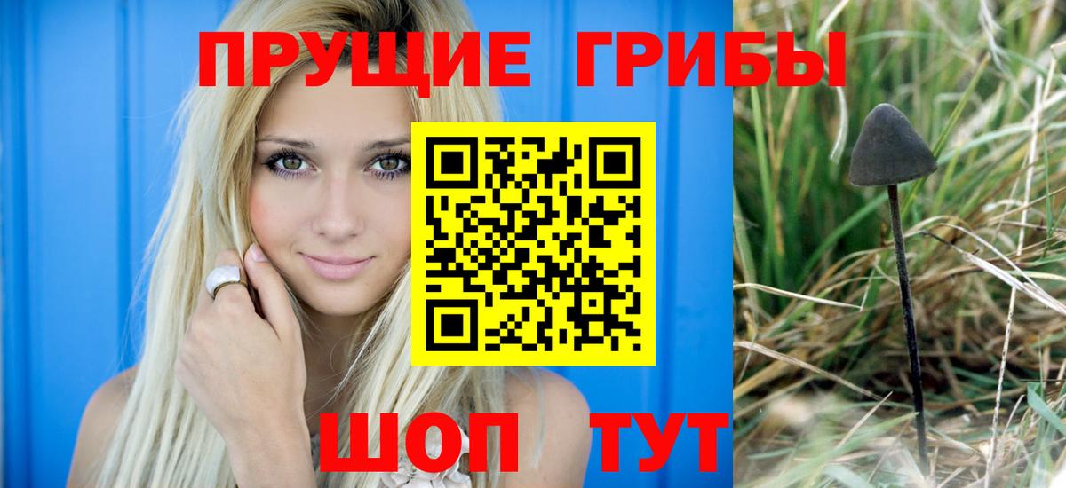 Галлюциногенные грибы MAGIC MUSHROOMS  Вход с VPN  Кандалакша 